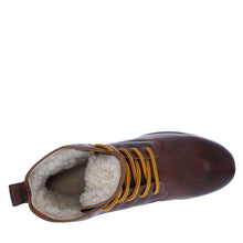 Load image into Gallery viewer, OM60