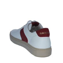 Load image into Gallery viewer, VG09